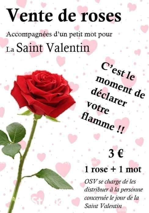 Vente de roses pour la Saint-Valentin 