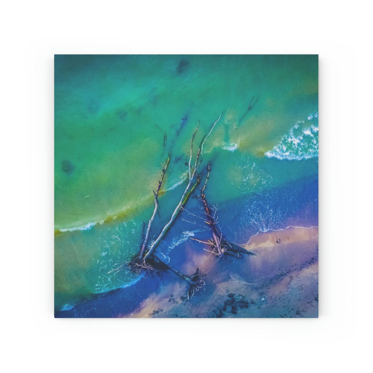 Wood Canvas