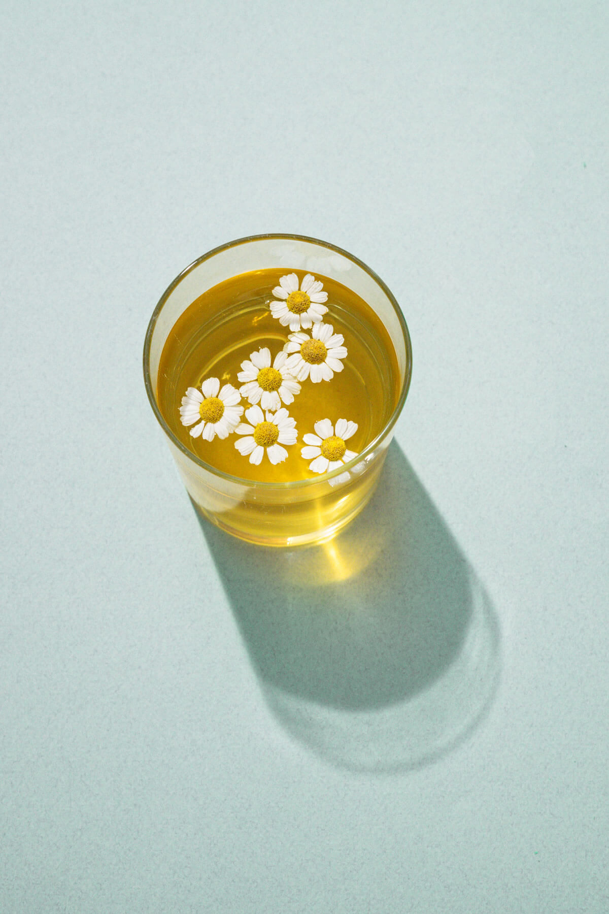 Starry Eyed Chamomile ❊ Organic Chamomile Sleep Tea