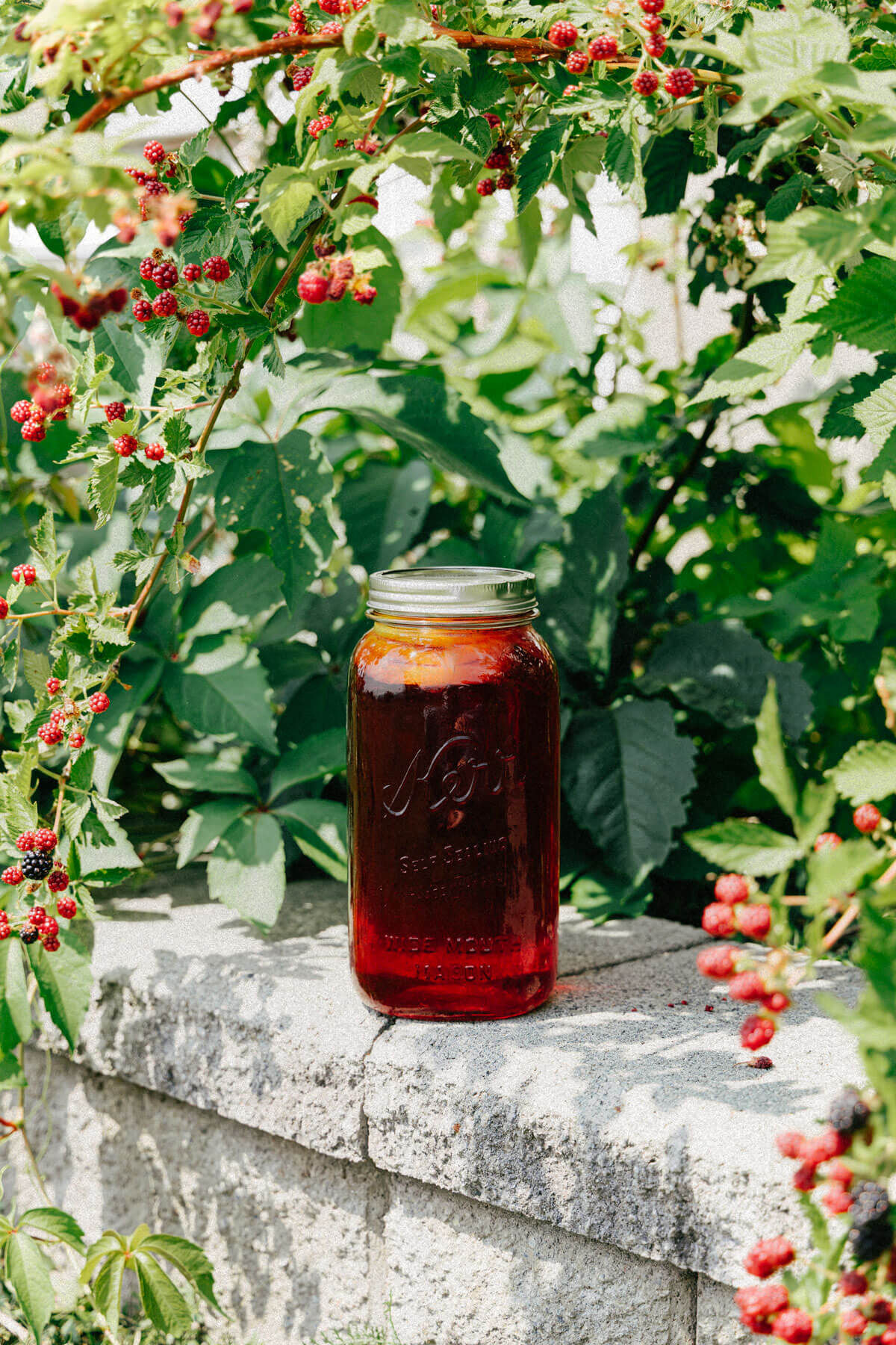 Hibiscus Berry Tart ❊ Organic Hibiscus Berry Tea