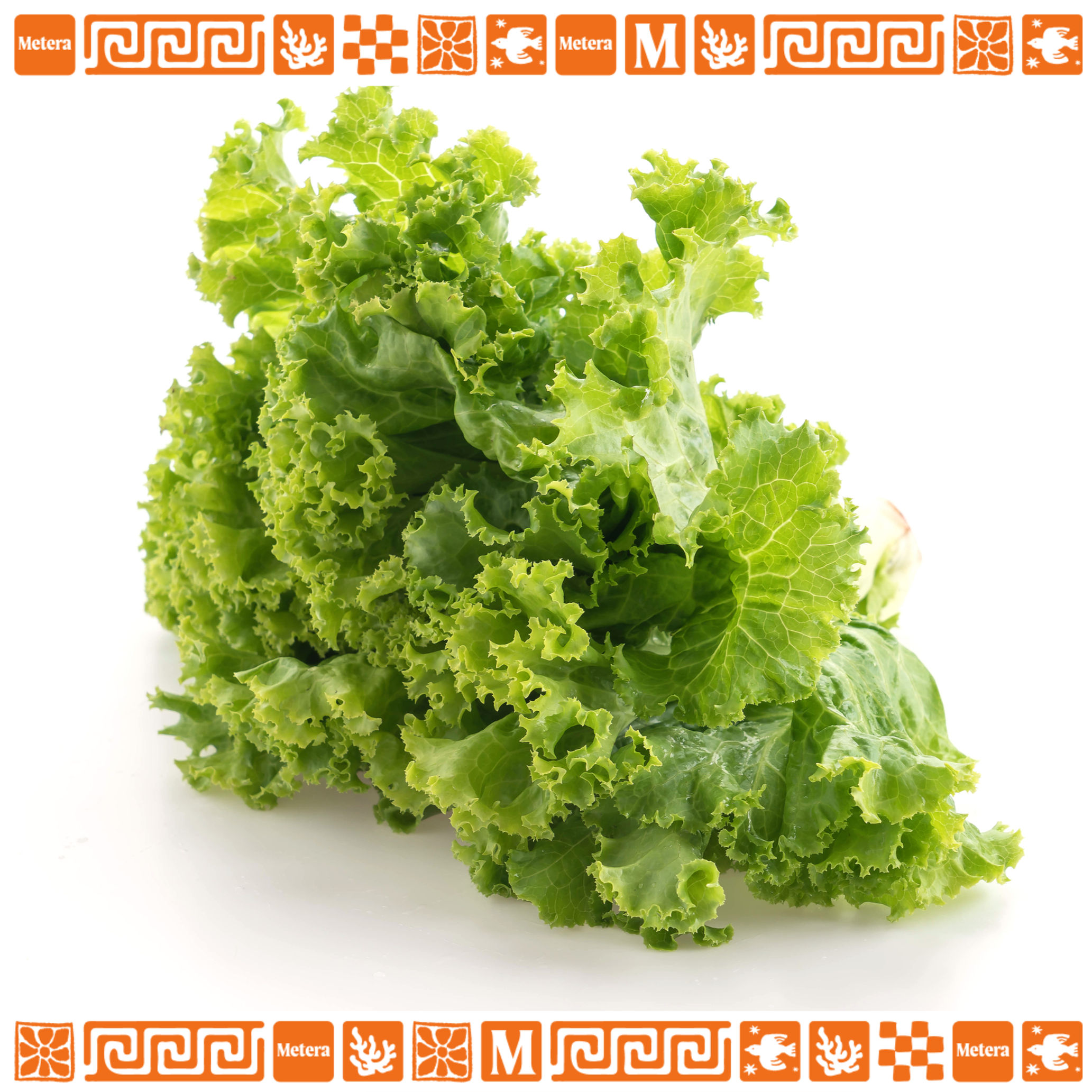 Свежа зелена салата - 1 бр