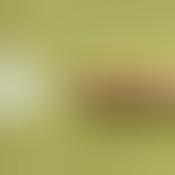 O que é ESG? Como se aplica?