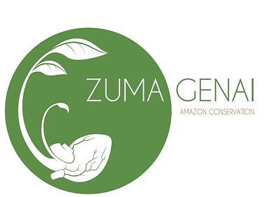 Zuma Genai.jpg