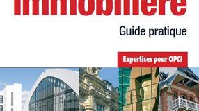 Expertise Immobilière Guide Pratique