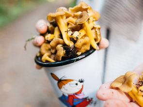Wild mushroom soup