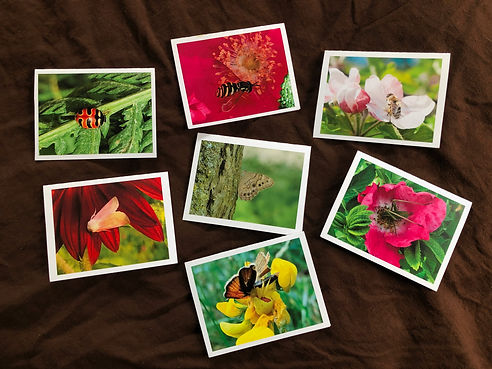 Set of all seven cards.jpeg