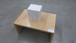 AN INVISIBLE MINORITY 2018