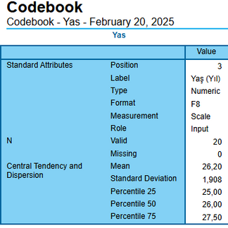 Codebook Çıktısı 2