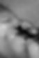 Part 4-BW.jpg