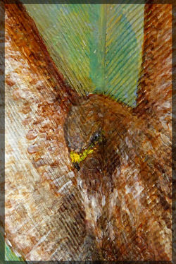 Beschilderde Veer - Buizerd