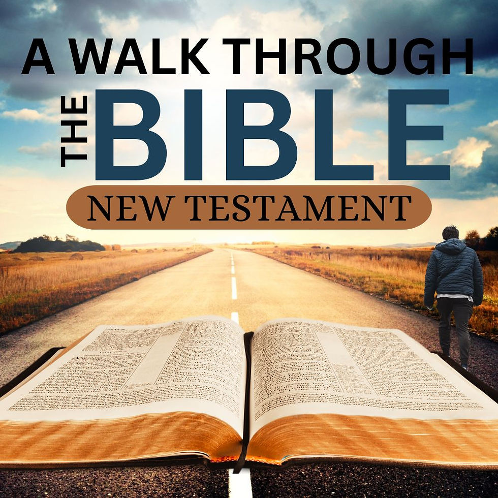 A Walk Through The Bible