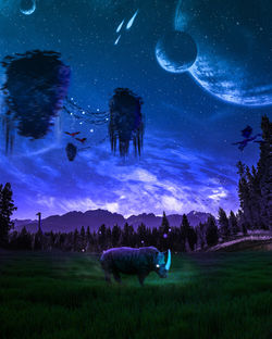 dada1072294271.5be2b2a4189fb