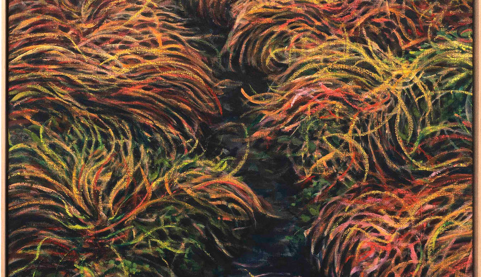 weettussocks.jpeg