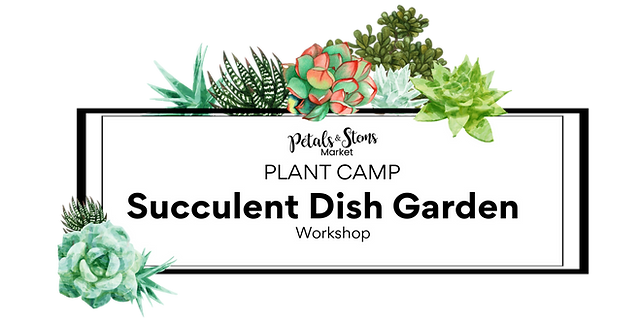 Plant Camp succulents label long.png