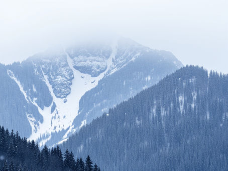 What Is a Land Survey in NH Real Estate and Why Do Buyers Need One?