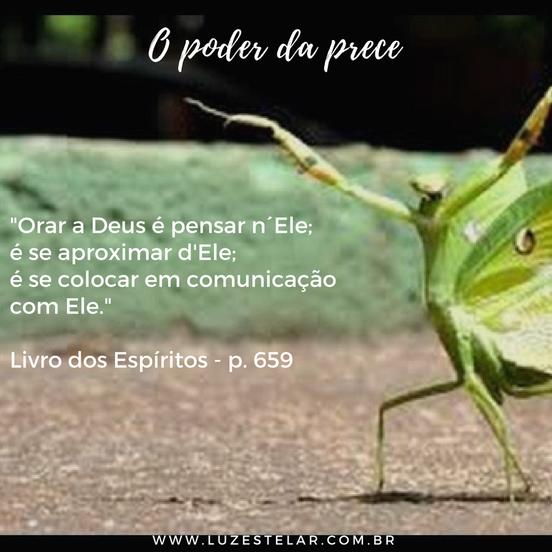 Prece3