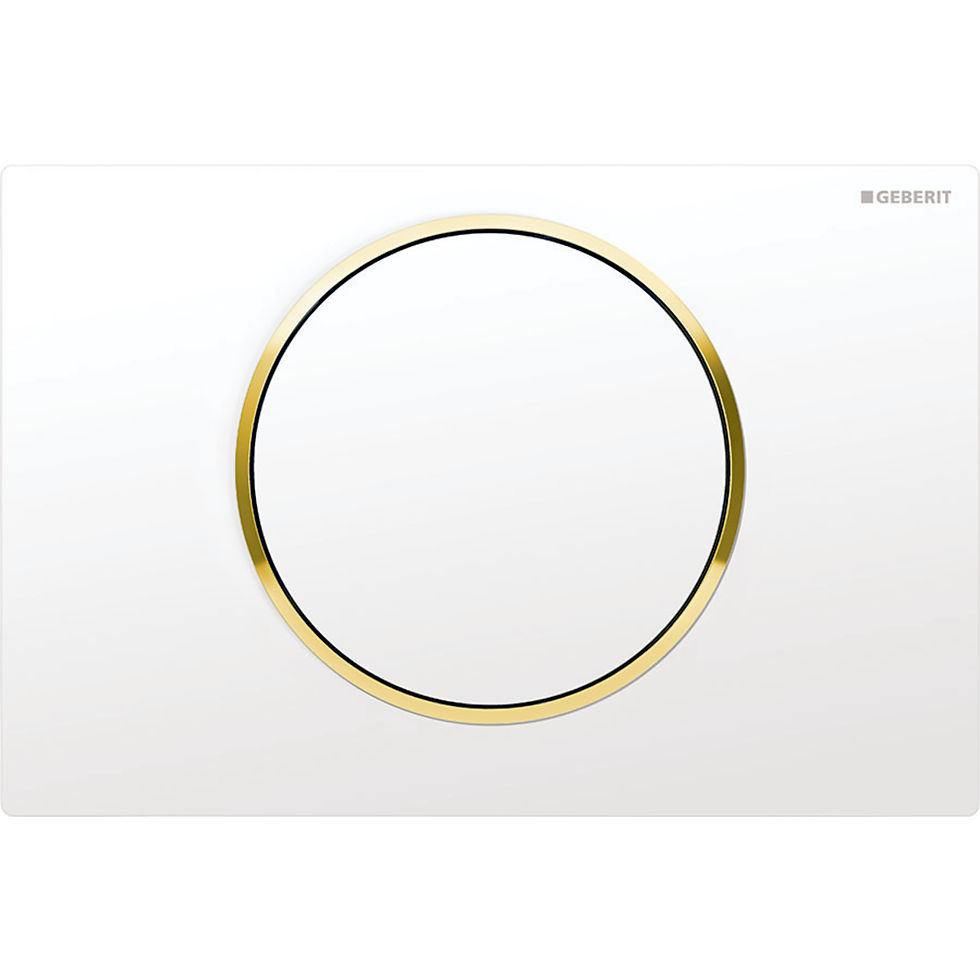Miniature : Plaque Sigma10 Geberit | Réf: 115.758.01.5 | Blanc mat laqué, blanc