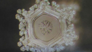 Sua mente influencia o mundo?