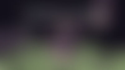 Minecraft snaphsots da 1.9