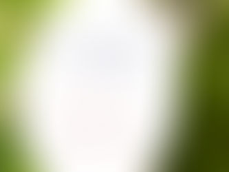 Pensée magique n° 159