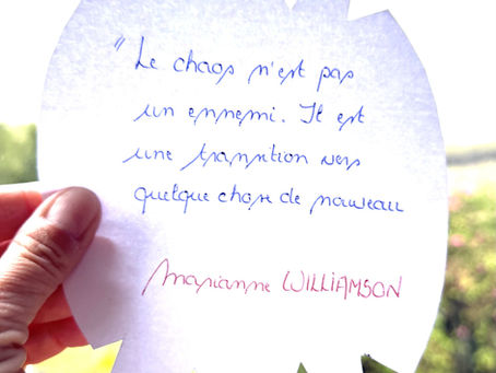 Pensée magique n° 156