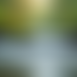 Healing Soul Wounds Through Inner Healing Techniques