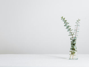 What Is the Difference Between a Psychiatrist and a Psychiatric Nurse Practitioner?