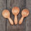Thumbnail: Small Elm Scoops, Set of 3