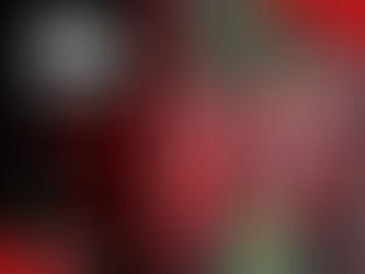 LE Softball Runs Past Unioto with a 10-0 Victory