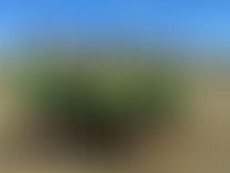 Boys XC Finishes 6th Of 19 Teams On 8/30