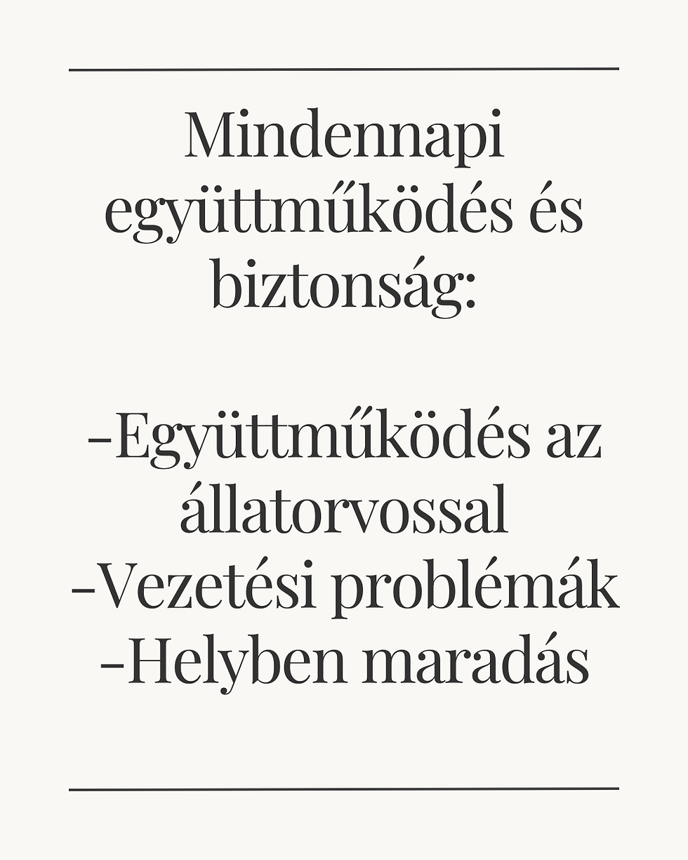 14. Online Lovakkal Másként kurzus + kurzusjegyzetek- kattints a tartalomért