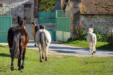 14556717_1413111468716513_31884273543105