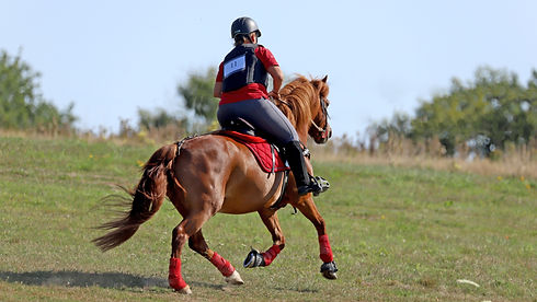 IMG_1947_edited.jpg