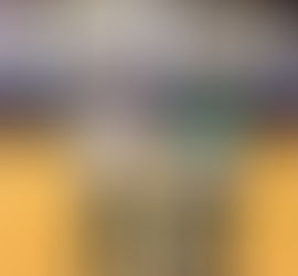 Newton 9th-11th awards