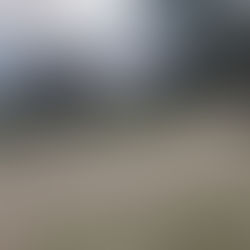 Church fire on FM 92 in Town Bluff