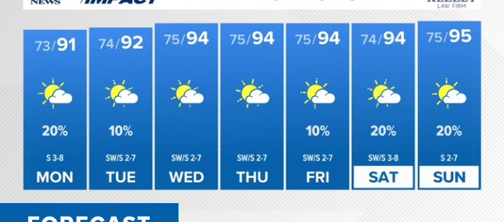 7 Day Forecast