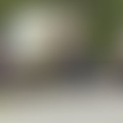 Physical altercation that began in a log truck results in at least one arrest