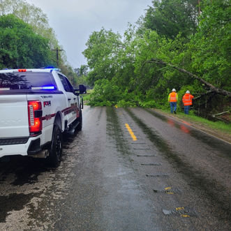 Today's storms downed trees throughout our area