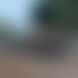 Updated information: Woman has died following a wreck with a Freightliner in Devils Pocket