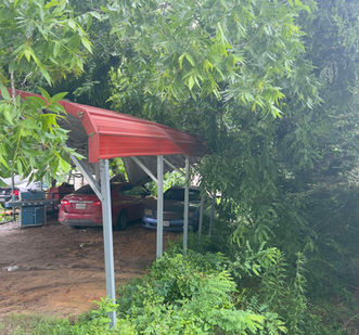 Last night's storm toppled a large tree, and totaled a car as well as a carport in the process