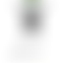 Free clean up assistance for those needing help following recent storms