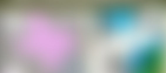 Wildfire Education and Prevention provided by Texas A&M Forest Service