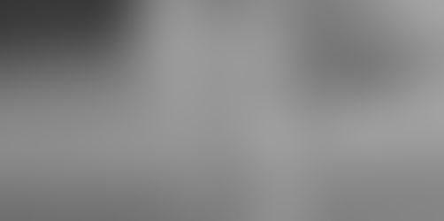 Newton County Sheriff needs help identifying two burglary suspects