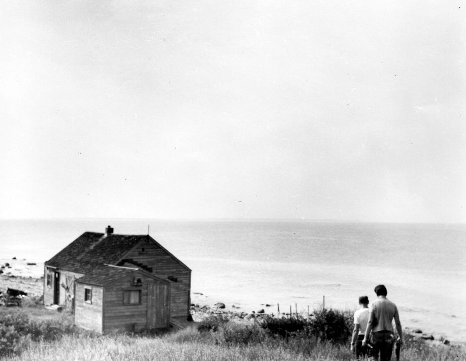 James Brooks and Jackson Pollock walking to Brooks-Park home in Montauk