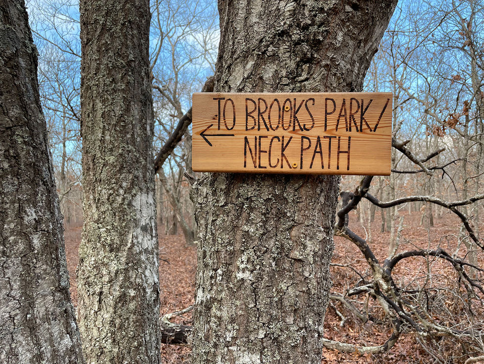 guide to Brooks-Park