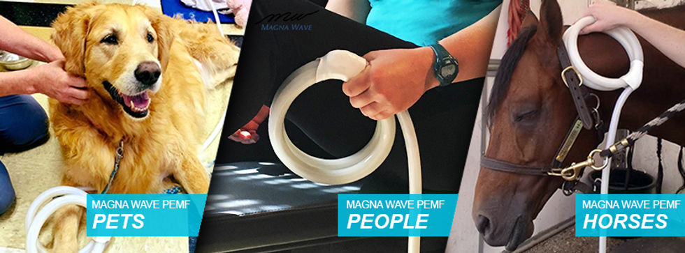 mw-people-pet-horse-facebook-banner.jpeg