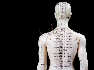 Traditional Chinese Medicine: Acupuncture + Tuina – The Dynamic Duo for Modern Ailments