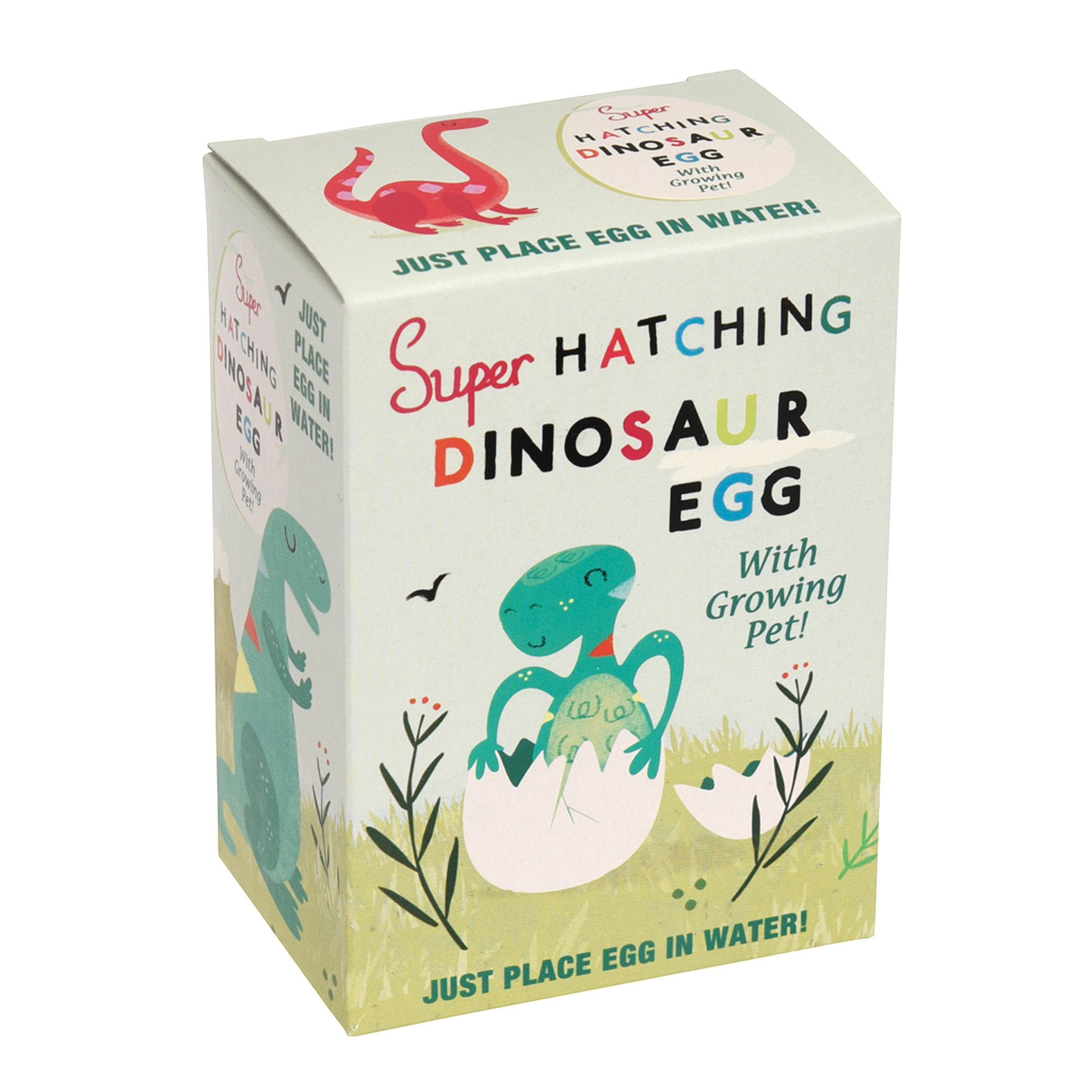 Hatch your own Dinosaur Egg