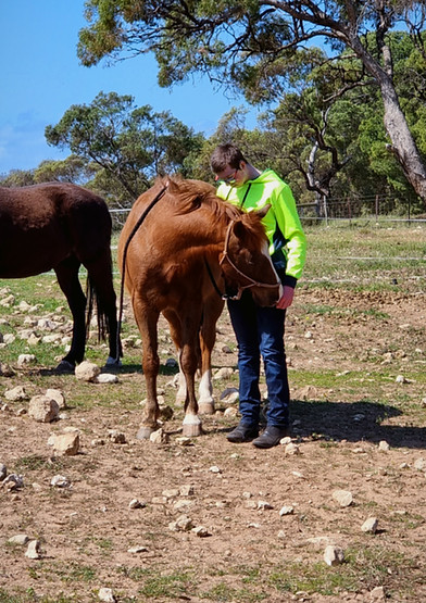 Client with Sprite the Horse