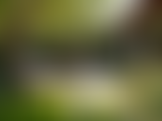 Transform Your Home: Successful Remodeling Projects Showcase